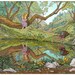 The Pond