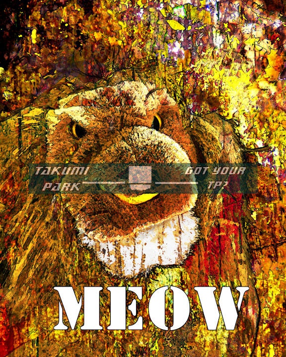 Lion art 8x10 photo print, word art, MEOW graphic, funny art, animal art, dorm stuff, word painting, wall art, yellow art, wildlife art
