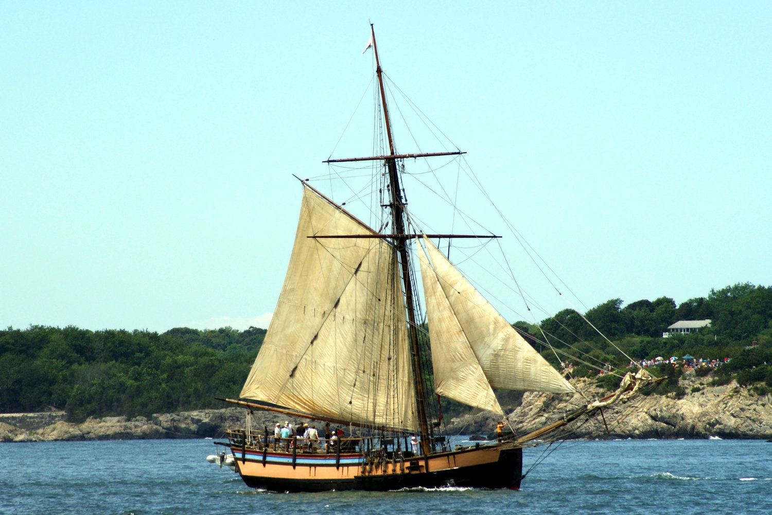 Sloop Ship