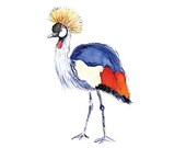 Crowned Crane - 8 x 10 inch print of original illustration - Beautiful African Bird