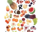 Fruit Seasonality Print.