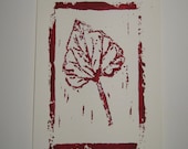 Rhubarb - Rheum Rhaponticum - hand-pulled linocut