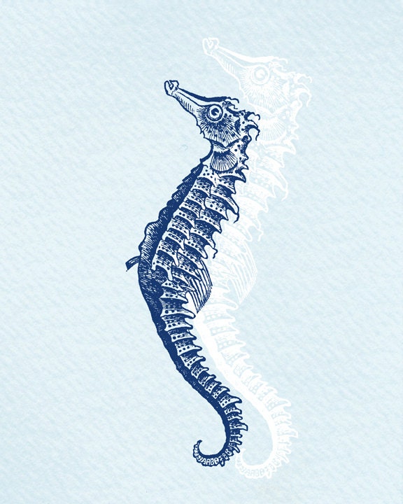 Antique Illustration the Sea Horse - print on Fine art watercolor paper 8x10 inch.