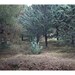 Cacto Landscape A4 Fine Art Photography print  8x11.5