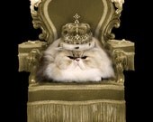 Watch The Throne, Cat Poster 18" x 24"