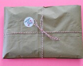 Medium Mystery Blitz Bag
