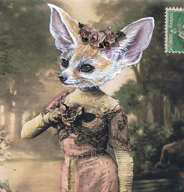 fennec fox girl