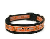 1" dog collar Honey Badger martingale or buckle collar