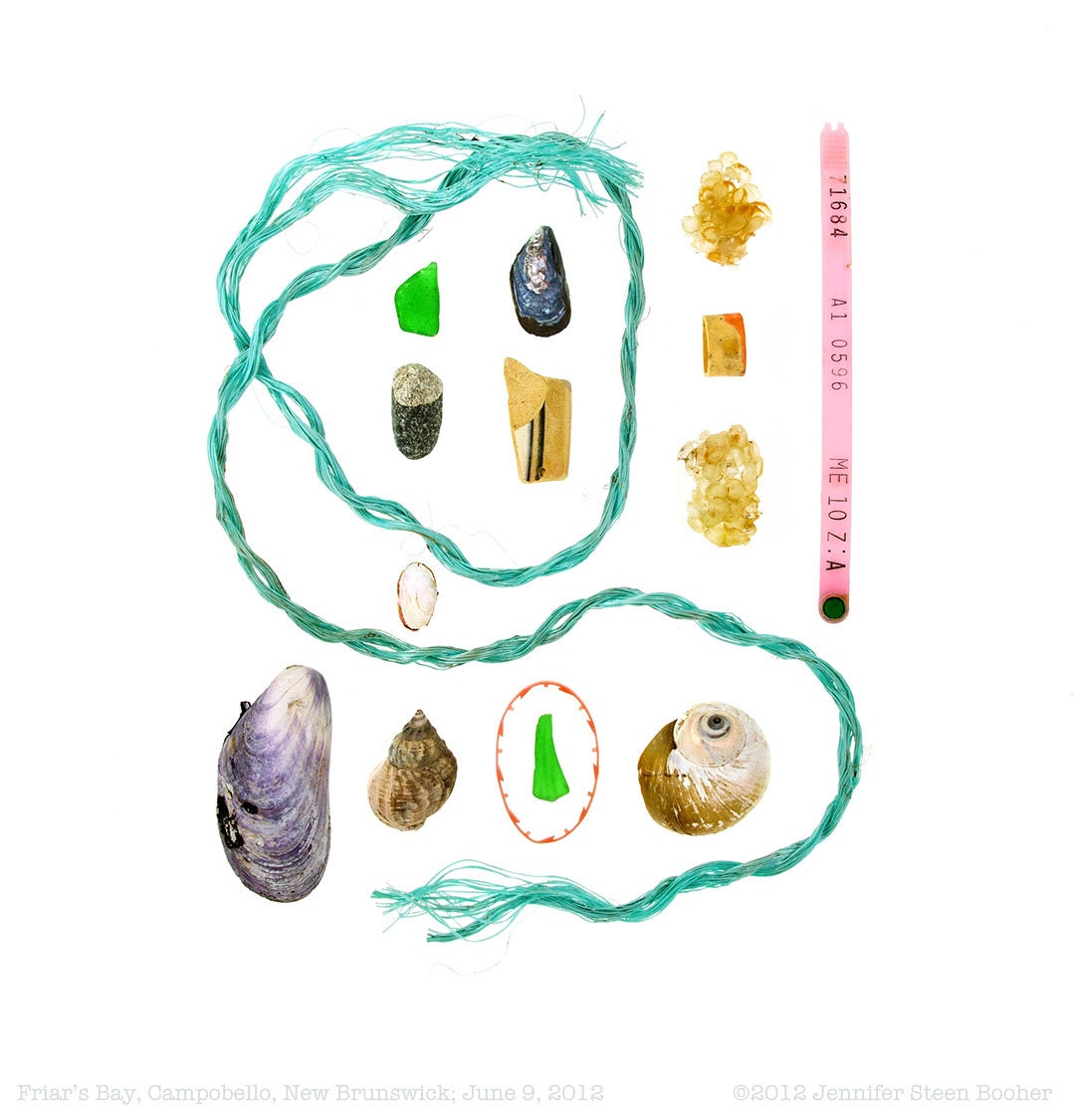 Campobello Beachcombing series No.3 - 12 x 12 photograph - mussel shell, seaglass, beach glass, whelk, seashell