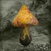 Fantasy forest pixie mushroom
