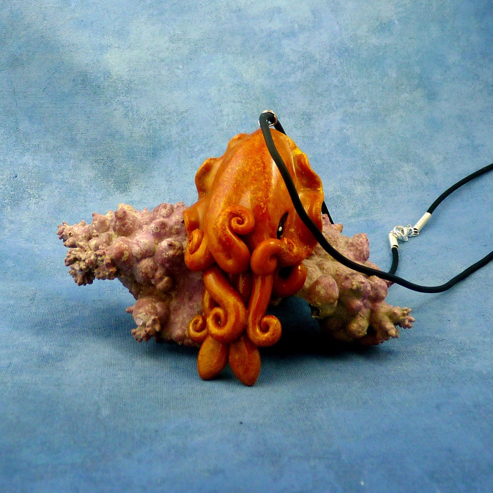 orange cuttlefish