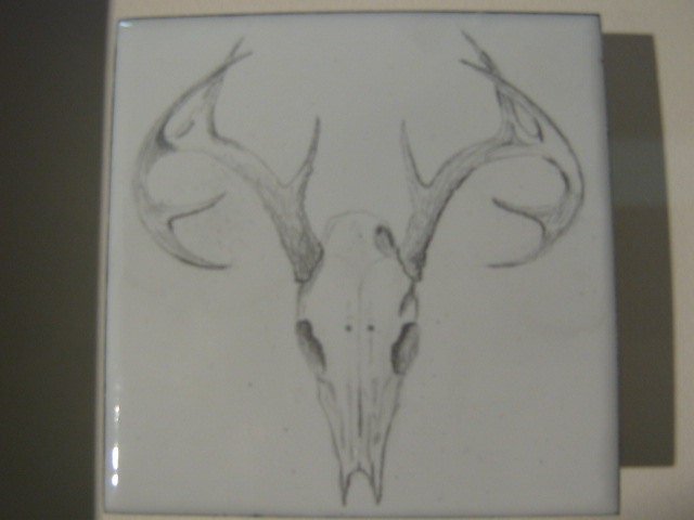 Graphite on Enamel Stag Skull