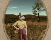Easter Bunny White Rabbit Art Animal Photography Photo Collage Mixed Media 8x10 Print - Left Turn At Albuquerque