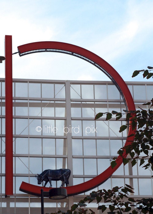 D is for Denver - Downtown Denver Pavilions - Neon Sign with Cow - 5 x 7 Fine Art Photography Print