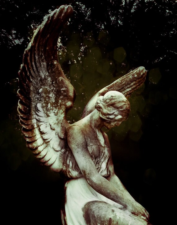 angel wings