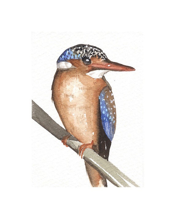 Original Watercolor - Kingfish - Miniature ACEO Art Bird - Painted by Lorisworld