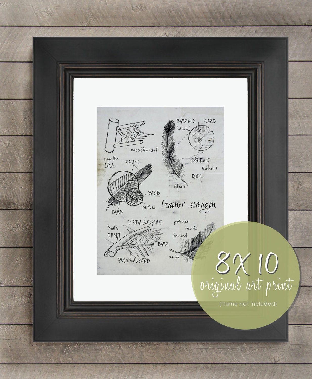 original print : strength of a feather