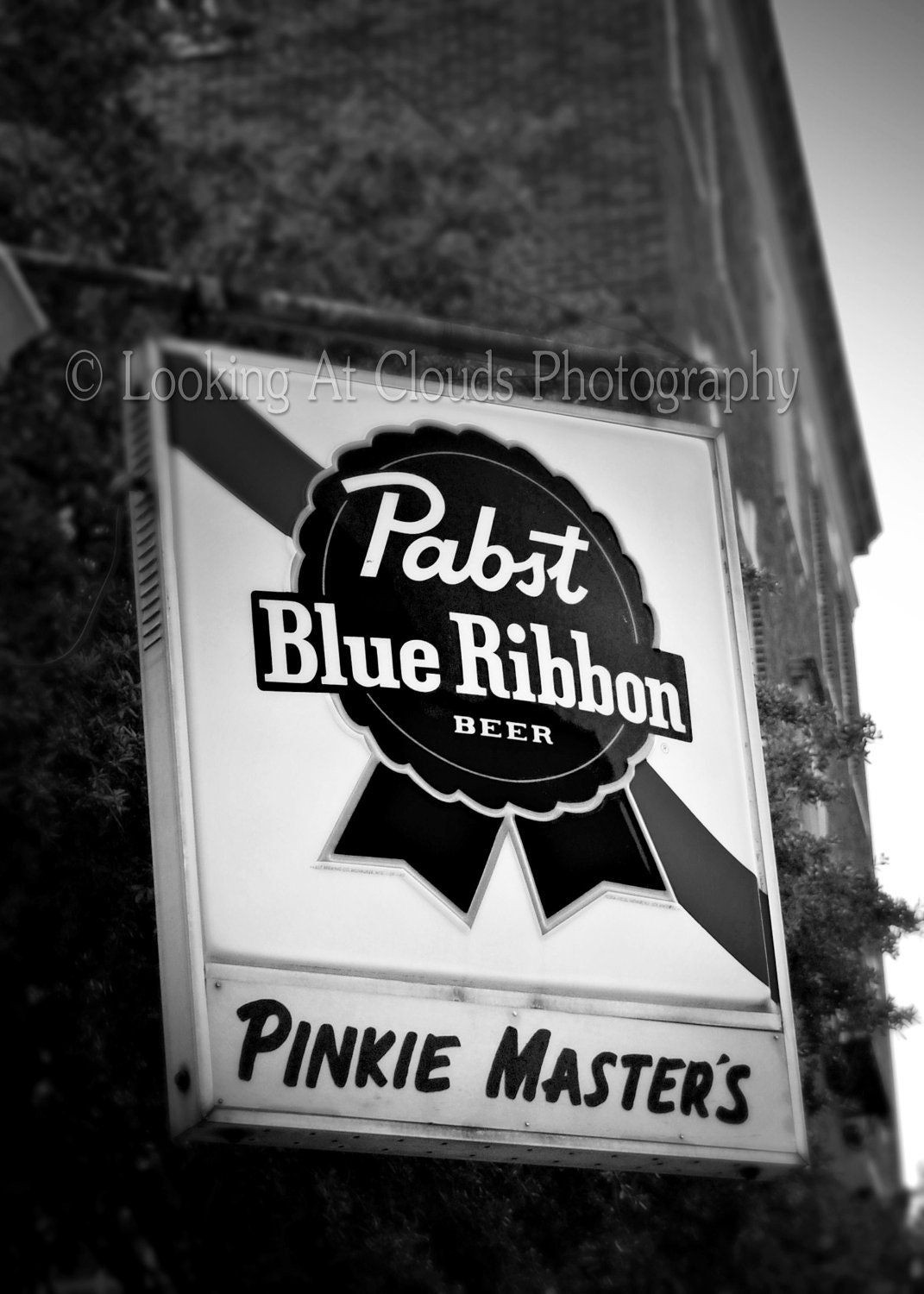PBR Pabst beer retro sign black and white 8 x 10 art photo Pinkie Master's Bar