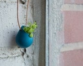 Wearable Planter No. 1, Teal