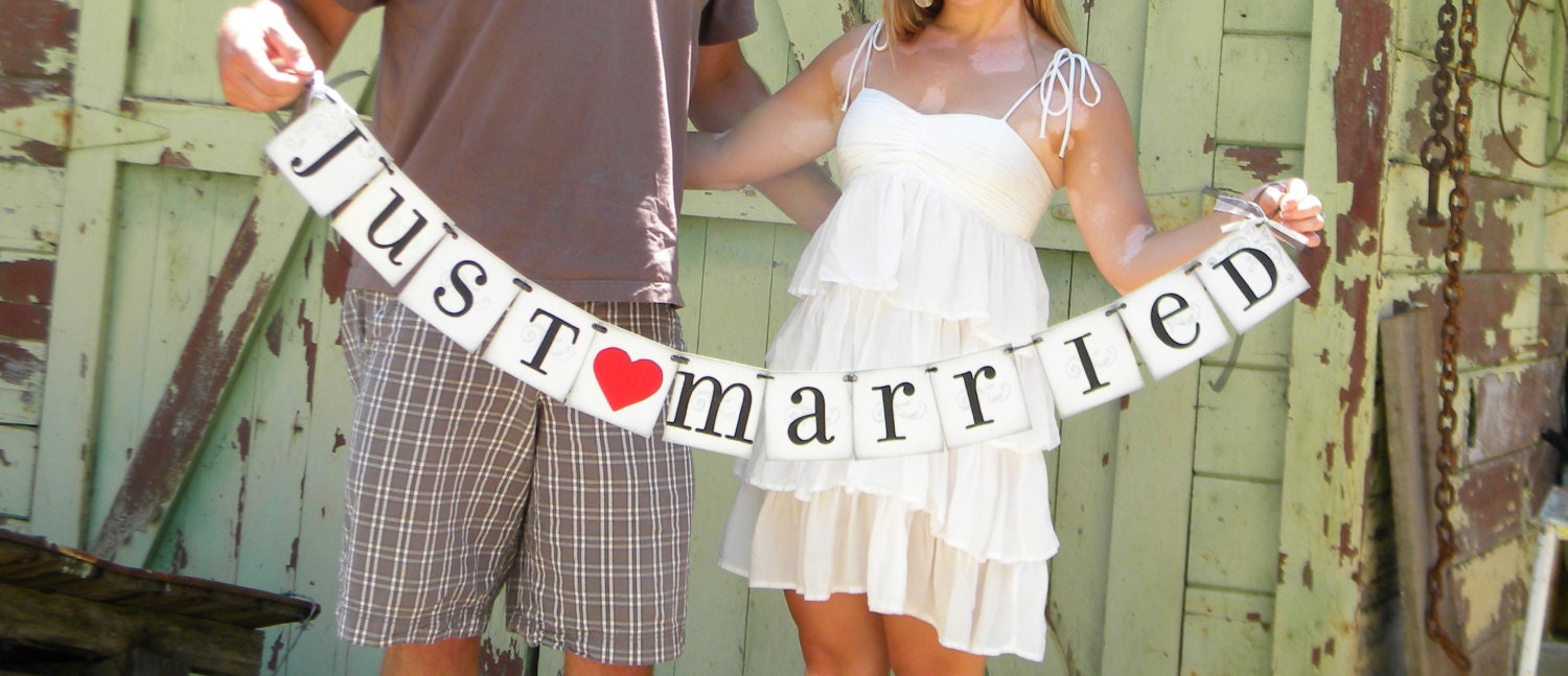 JUST MARRIED banner sign / custom colors / car sign