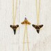 SHARK TOOTH Necklace by MOONDROPS