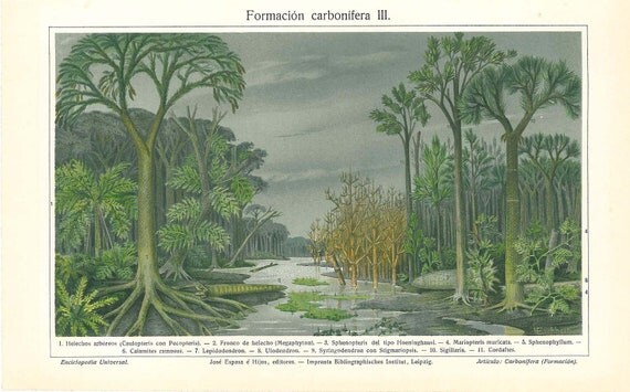 Extinct Plants Antique Color Lithograph Carboniferous Ferns
