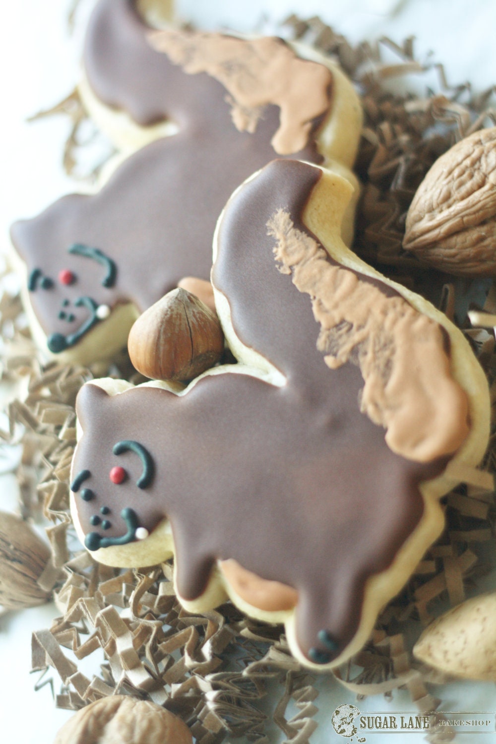 Large Squirrel Decorated Sugar Cookies