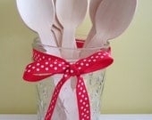 25 Eco Friendly Disposable Compost-able Spoons Il_170x135