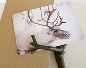 Winter Reindeer Photo Postcard-Christmas in Norway Snow-Wall Art-Fine art Photography Greeting Cards (5)-Featured on Front Page of Etsy