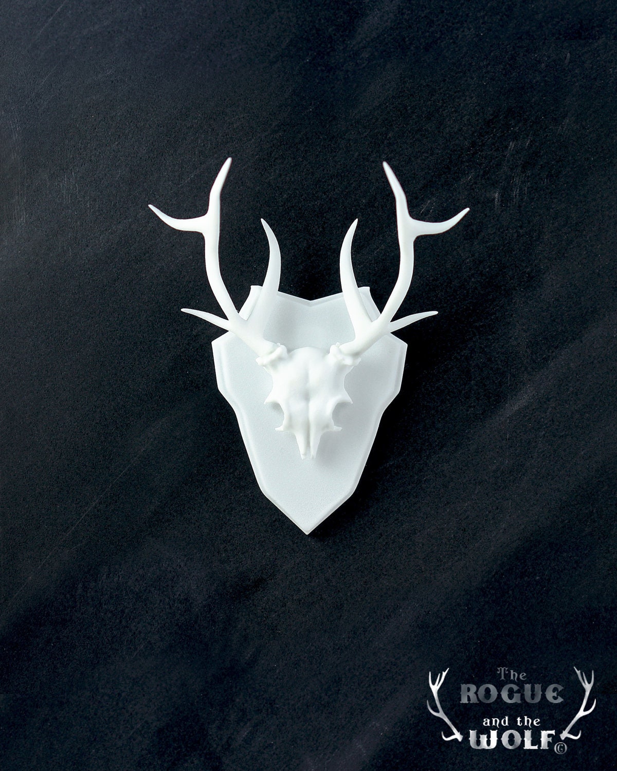 Deer Faux Taxidermy, deer skull, antlers home decor, mounted deer skull, home decor, animal  wall hanging, woodland space, mini taxidermy