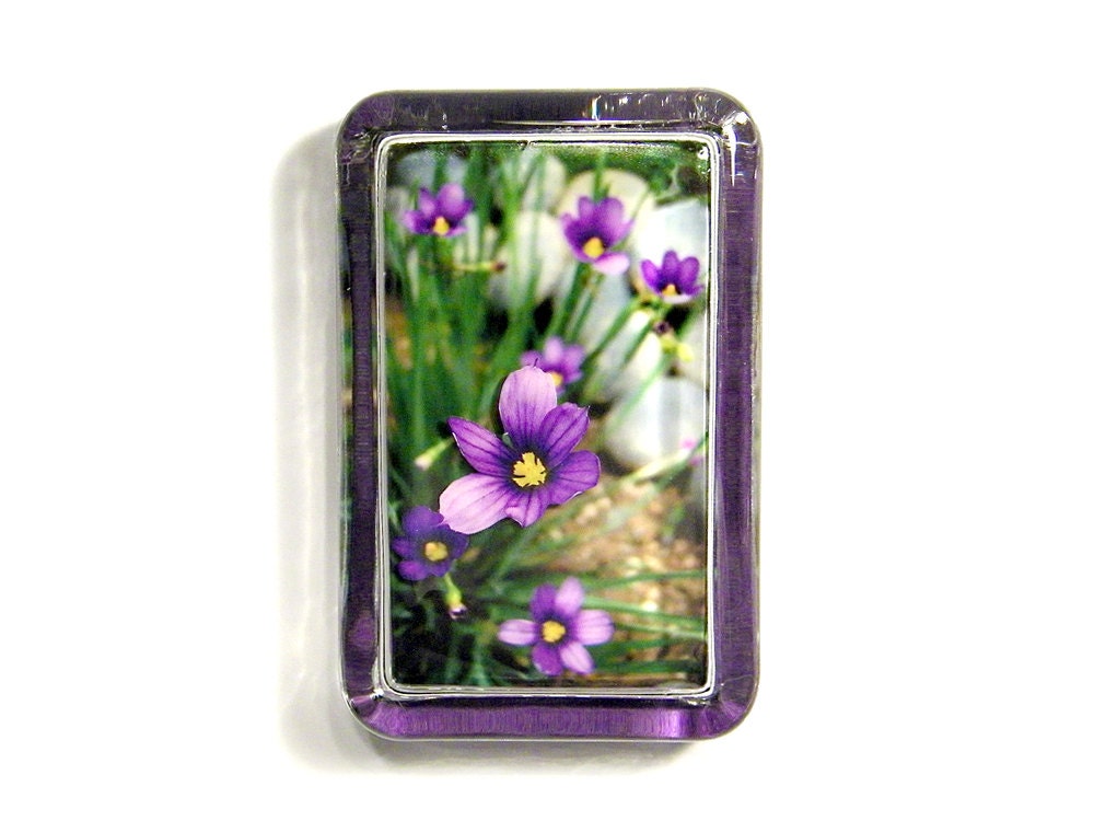 3D Blue-Eyed Grass - Purple Flowers - Glass Paperweight - Dimensional Photo Sculpture