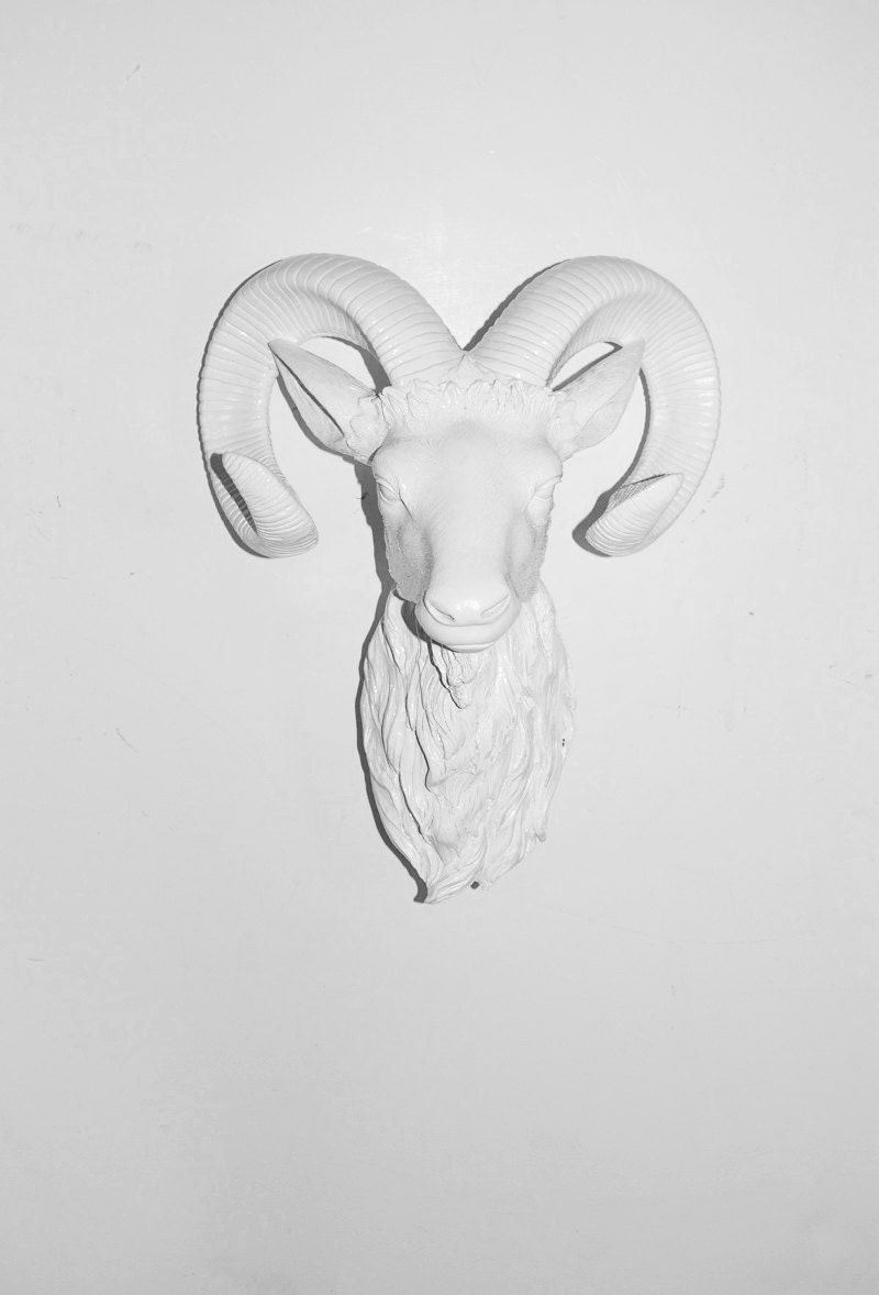 White Faux Taxidermy - White Ram Head w/White Antlers - The Francisco - Faux Taxidermy - Chic & Trendy
