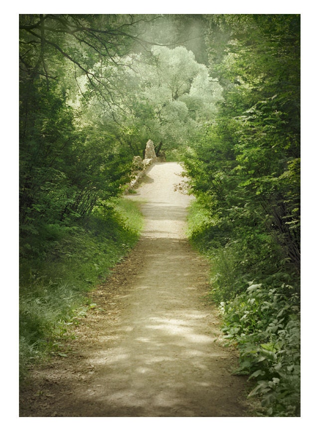Nature art photography - green large wall art print - Landscape photography summer park trees - home decor - living room decor
