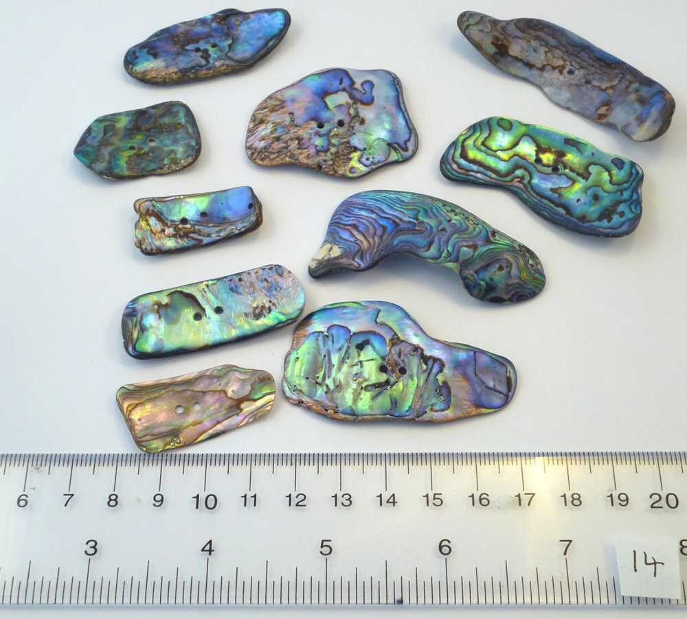 Abalone Buttons