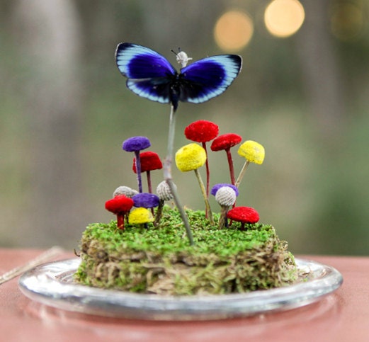 Contents Only - Butterfly Terrarium Kit, Real Butterfly Dry Terrarium, Mod Buttons