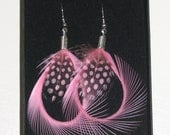 Pale Pink Feather Earrings Silver Plated Curled Hoops Light Pink and Black Spotted Polka Dot Handmade