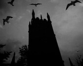 Halloween Decor, Haunting Black and White Photography Print, Gothica, Halloween Decoration