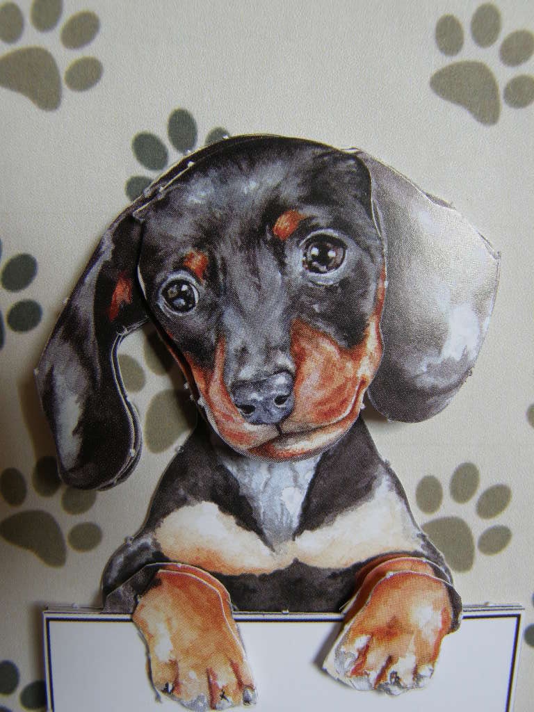 Dachshund card Dachshund greetings card decoupage card - BLANK card can be personalized - black and tan Dachshund dog card sausage dog card