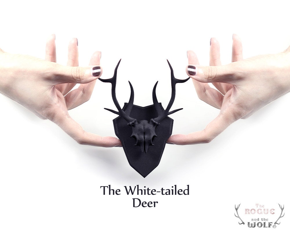 Deer Faux Taxidermy, deer skull, antlers home decor, mounted deer skull, home decor, animal  wall hanging, woodland space, mini taxidermy