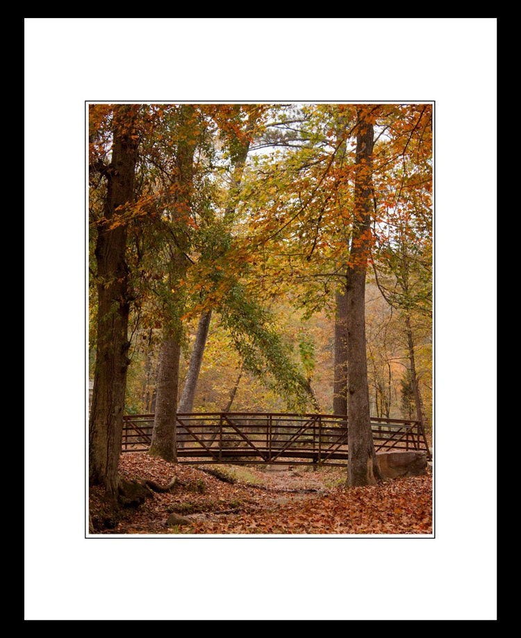 11x14 Fall Landscape Fine Art Print