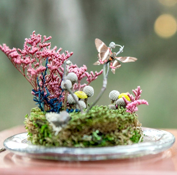 Butterfly Terrarium Kit, Real Butterfly Under Glass Dome Terrarium, Woodland Miniature Scene