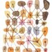 Sweet connections - Featured in West Elm - Reproduction from original watercolor painting A4 print orange pink springtime