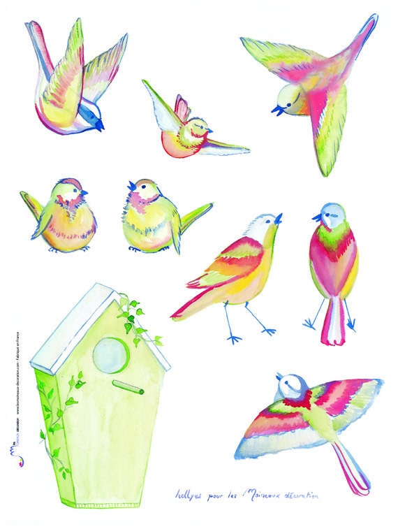 Kids wall decals -  Birds wall art - kids sticker