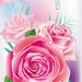 SusiesBoutiqueTLC