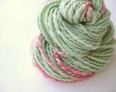 Handspun Yarn - Wool - Super Bulky Two Ply - Mint with Pink Sprinkles - 86 Yards