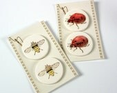 Handmade Ceramic Clay Bug buttons, Honey Bee or Lady Bug