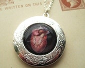Anatomical Victorian Valentine Anatomy Heart Locket from Hoolala
