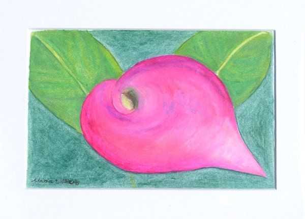 Passion  / Pink Flower Matted Artwork / Original Pastel painting by Maria Williams