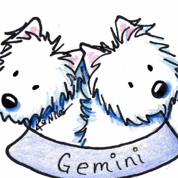 ORIGINAL Art Zodiac GEMINI Westie Terriers ACEO Drawing