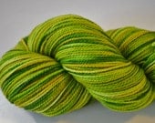 Never Smile at a Crocodile - 100% Superwash Merino Sock Yarn